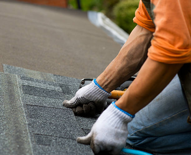 Best Roof Gutter Cleaning  in Troy, NC